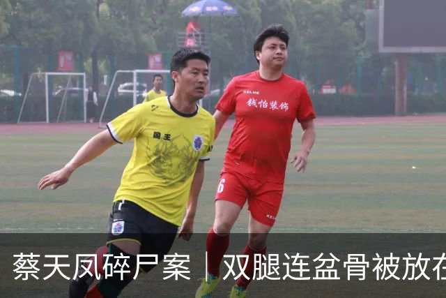 蔡天凤碎尸案｜双腿连盆骨被放在冰箱内，政府化验师形容“骨上面有点肉”